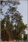 DPP_0352