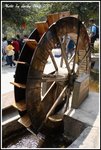 DPP_0353