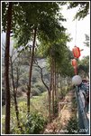 DPP_0357