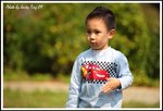 DPP_0008