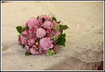 IMG_9557