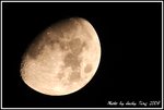 CRW_9763-1a