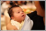 DPP_0377
