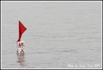 DPP_0018