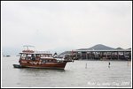 DP_0001