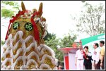 DP_0028