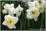 IMG_5967