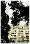 DPP_0058