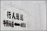 DPP_0065