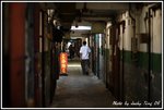 DPP_0066
