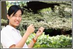 DPP_0034