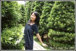 DPP_0104