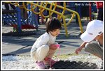 DPP_0173