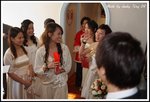 DPP_0049