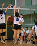 VP1B2539 - Version 2