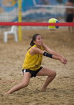 _P1B4085-01