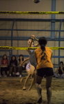 _P1B6389-01