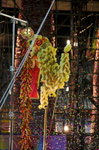 Opening Lion Dance
_P1B1151-01