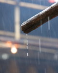 Another Rainy day
_P1B0246-01