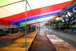 Grand Stand
_P1B0328-01