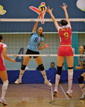 VP1B4284