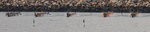 The Long Boats
_P1B9852-01