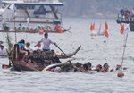 Submariner Tigers
_P1B0037-01