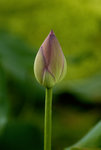 _DSC0013T