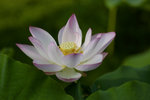 _DSC0021