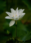 _DSC0024