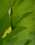 _DSC0037T