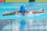 090B0597 - Version 2