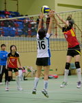 VP1B3453
