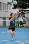 _P1B0848 - Version 2