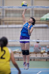 _P1B1151 - Version 2