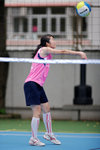 _P1B1175 - Version 2