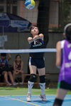 _P1B1216 - Version 2