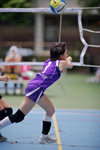 _P1B1369 - Version 2