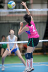 _P1B1499 - Version 2