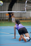 _P1B1542 - Version 2