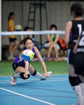_P1B1570 - Version 2