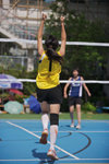 _P1B1815 - Version 2