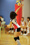 _P1B1160 - Version 2