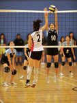 _P1B1161 - Version 2