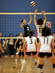 _P1B1171 - Version 2