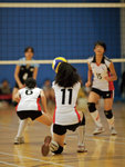 _P1B1178 - Version 2