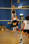 _P1B1183 - Version 2