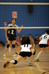 _P1B1184 - Version 2