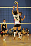 _P1B1187 - Version 2