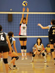 _P1B1207 - Version 2